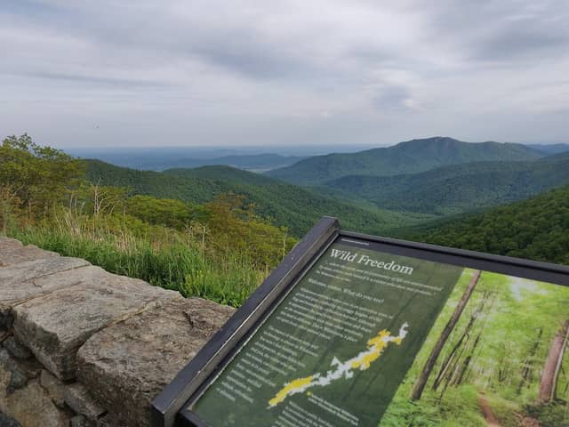 Pinnacles Overlook - Image 2