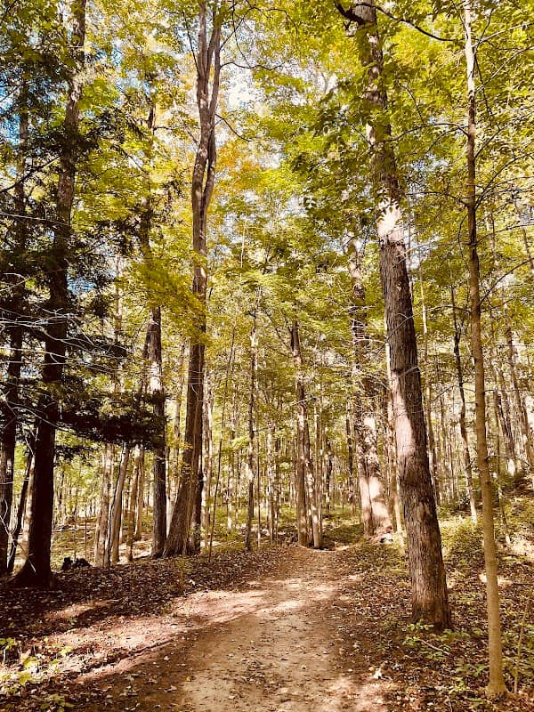 Kains Woods - Environmentally Significant Area - Image 2