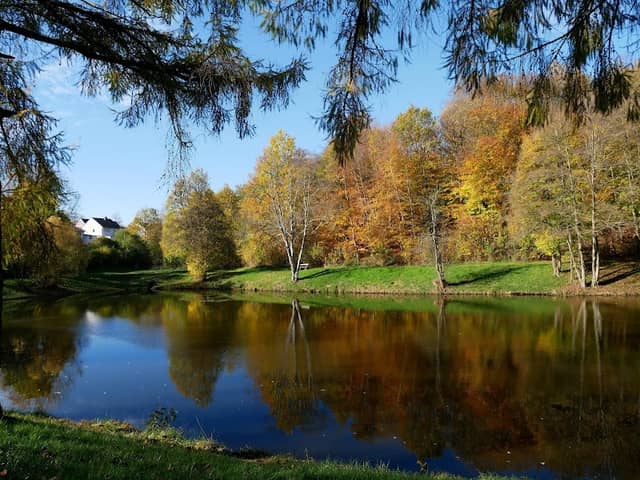 Schafweiher - Image 1