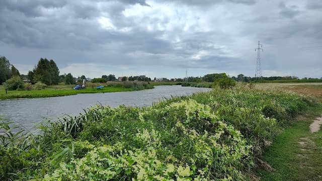Rzeka Narew - Image 1