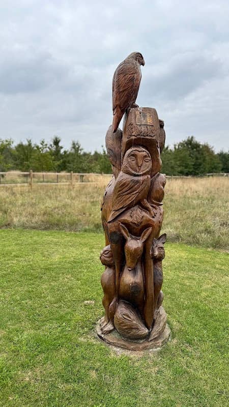 Hilcote Royal Oak Meadow And Woodland - Image 2