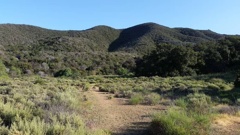 Lynn Oaks Park - Image 2