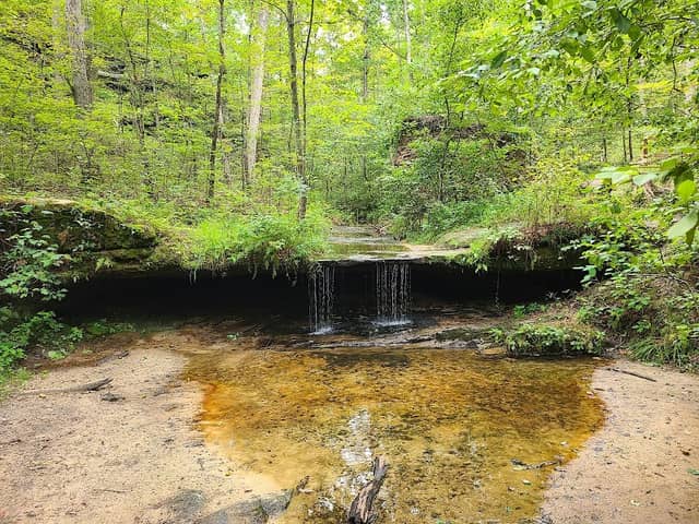 Pickle Springs Natural Area - Image 2