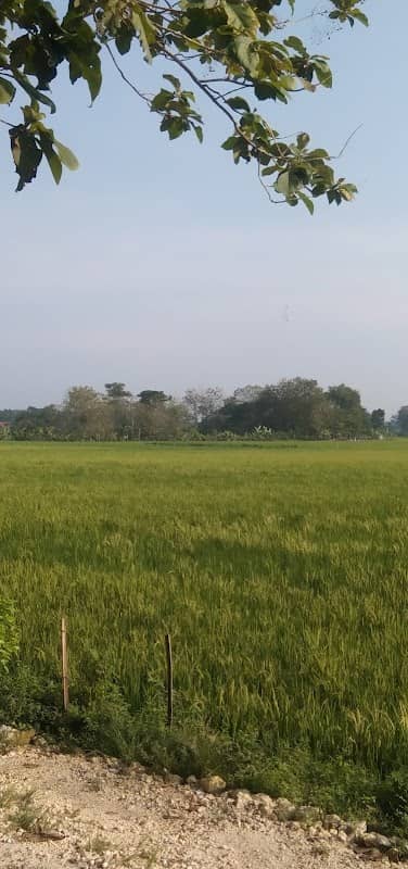 Makam Ki dadung awuk - Image 1