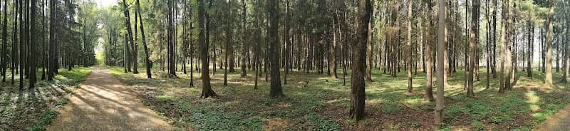 Sel'mashevskiy Park - Image 2