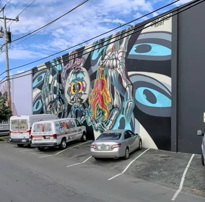 The Birth Of A Dimension Mural - Image 1