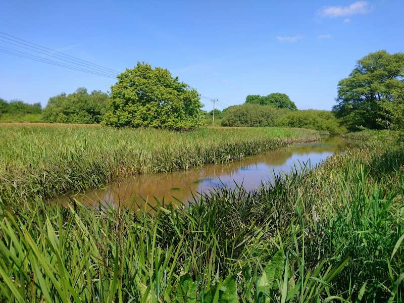 Wildgrounds Nature Reserve - Image 2