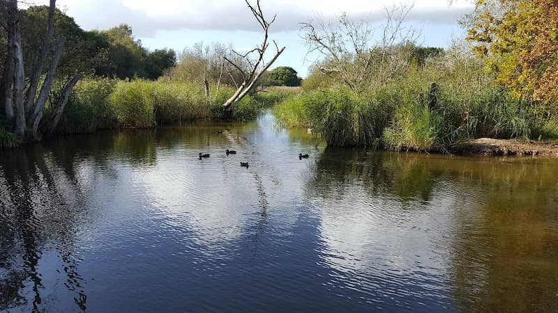 Wildgrounds Nature Reserve - Image 1