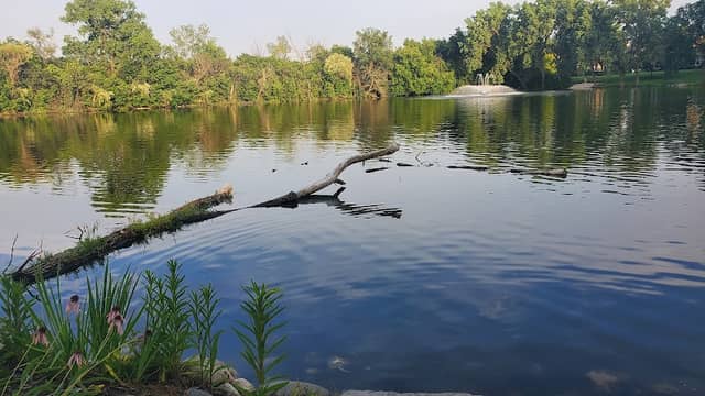 Lake Carriage Way Park - Image 1