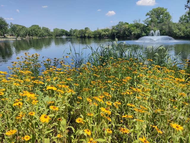 Lake Carriage Way Park - Image 2