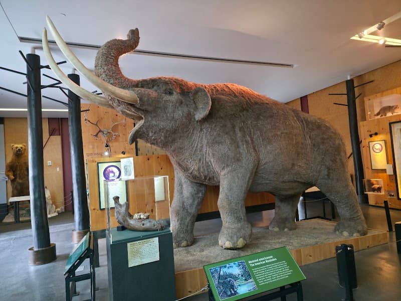 Cranbrook Institute of Science - Image 1