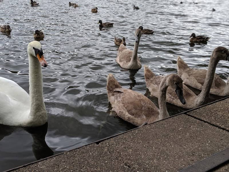 Codnor Park - Image 1
