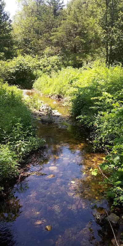 Shelton Land Trust - Image 2