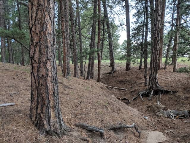 Elizabeth Park & Recreation District - Image 2