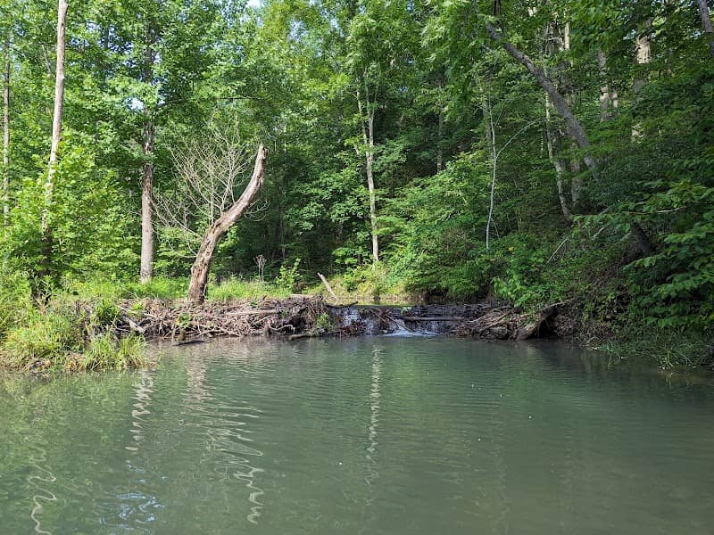 Owsley Fork Reservoir, Berea College - Image 2