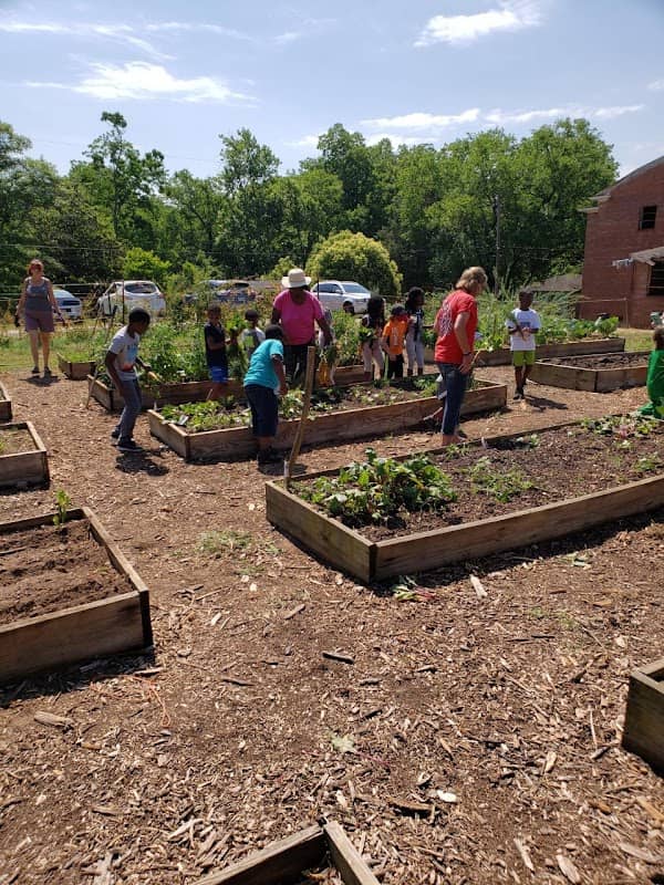The Healthy Life Community Garden at Heritage Park - Image 1