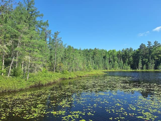 Hawk Lake - Image 1