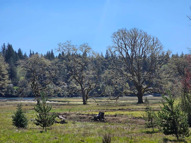 Bayshore Preserve - Image 1