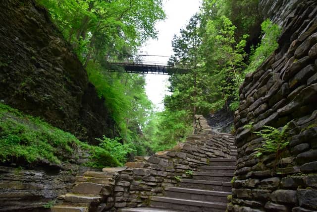 Suspension Bridge - Image 1