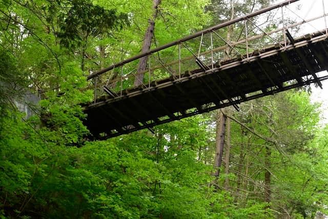 Suspension Bridge - Image 3