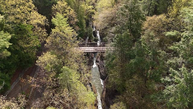 Suspension Bridge - Image 2
