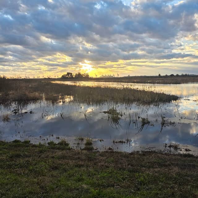Savannah Wildlife Dr - Image 1