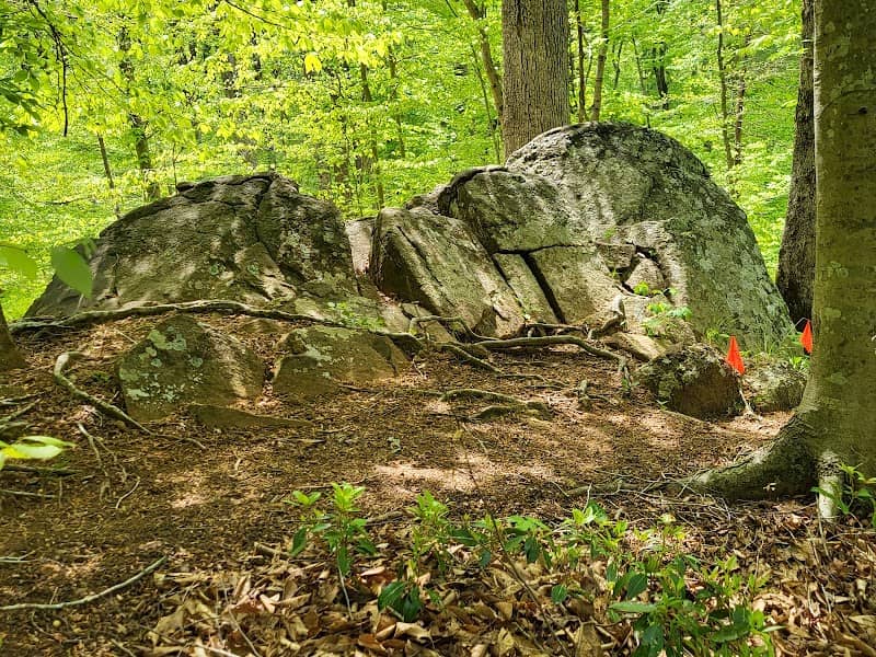 Fernbrook Natural Area - Image 2