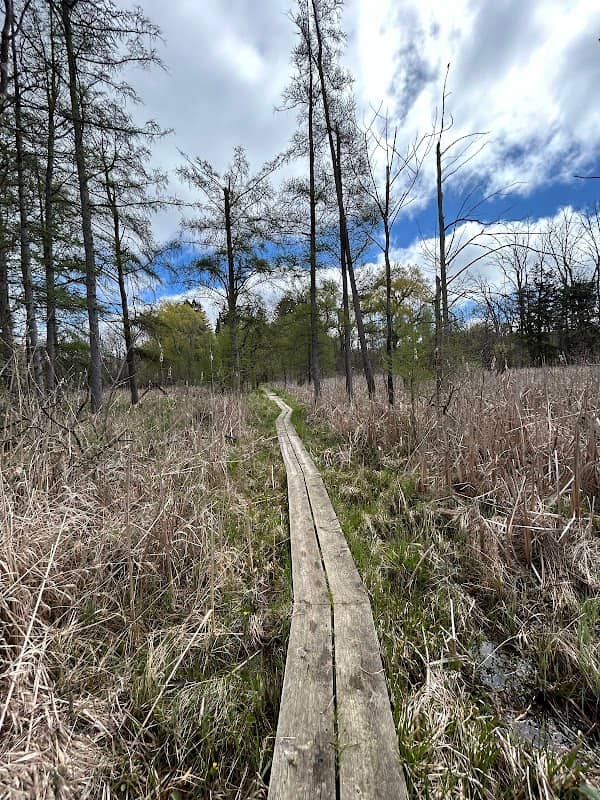 Zinn Preserve - Image 1