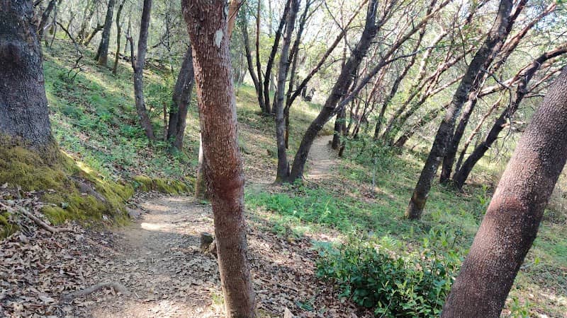 Canyon Creek Trail - Image 2
