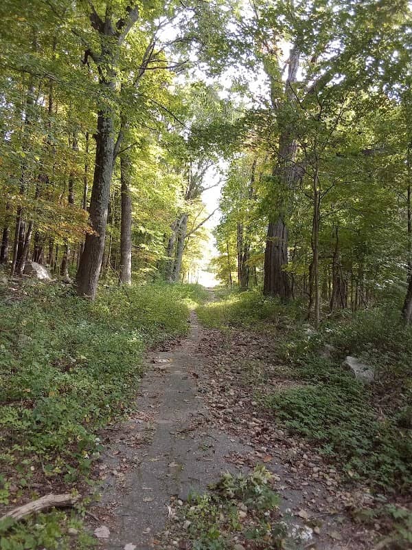 Westville Lake Community Path - Image 2