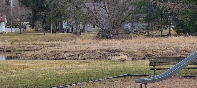 Scotch Creek Park - Image 2
