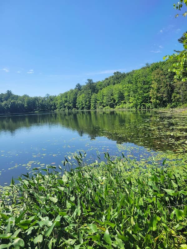 Newaygo - Image 1