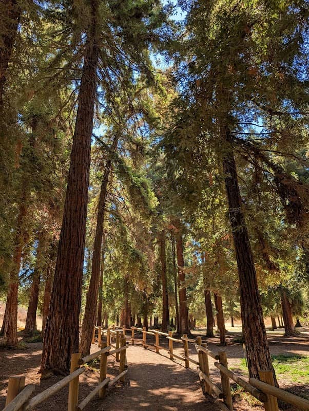 Carbon Canyon Regional Park - Image 4
