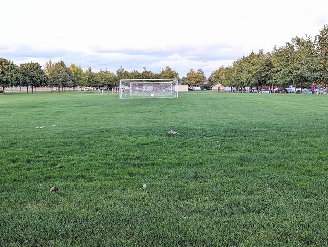 Woodbridge Park - Image 2