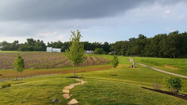 Murray State Arboretum - Image 2