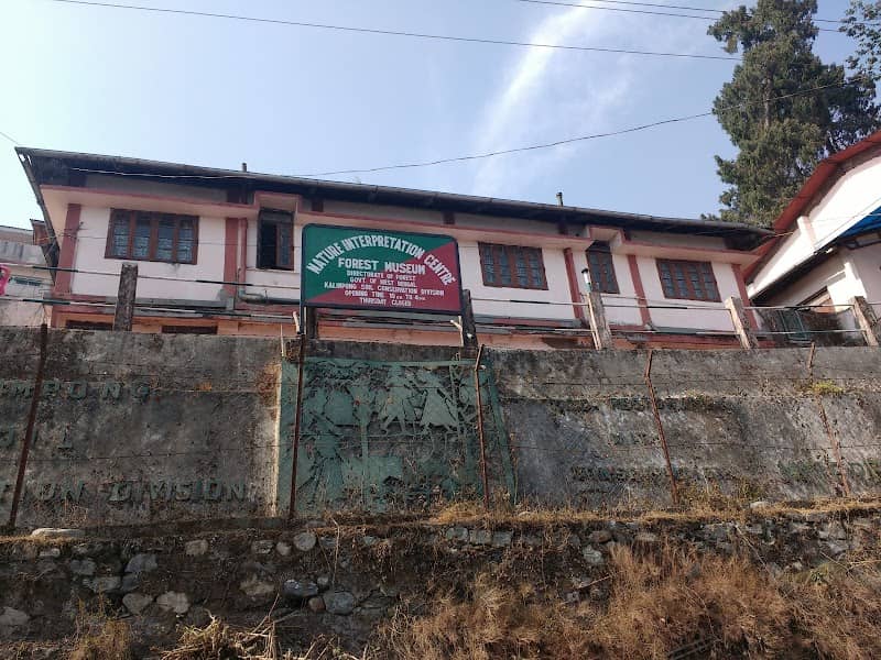 Forest Museum - Image 1