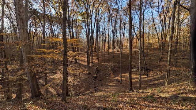 Betley Woods At Glacier’s End - Image 1