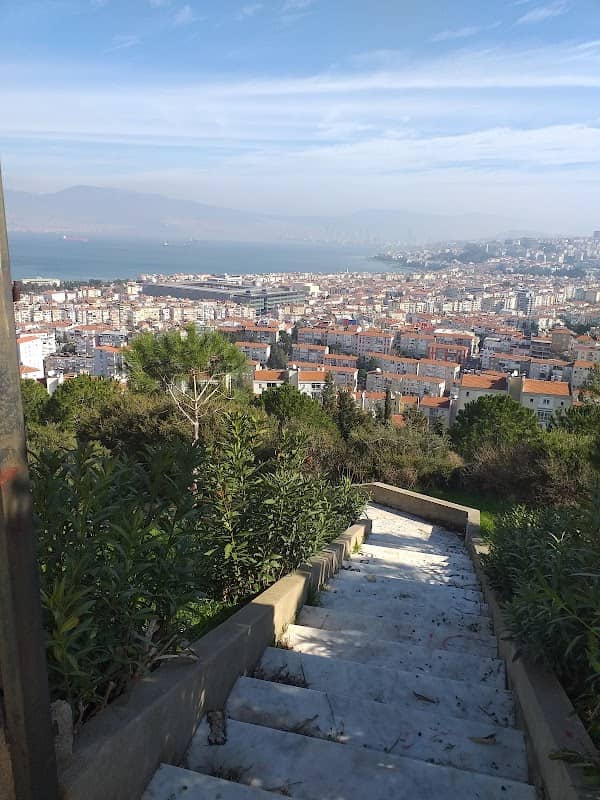 Mehmetcik Aniti - Image 2