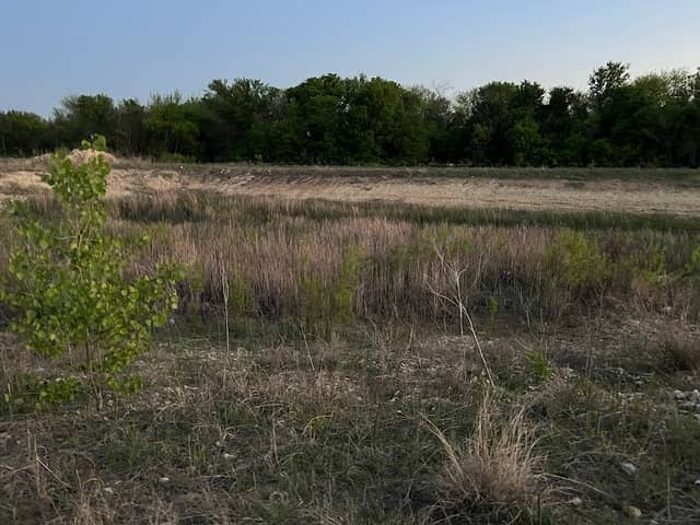 Minnow Pond - Image 1