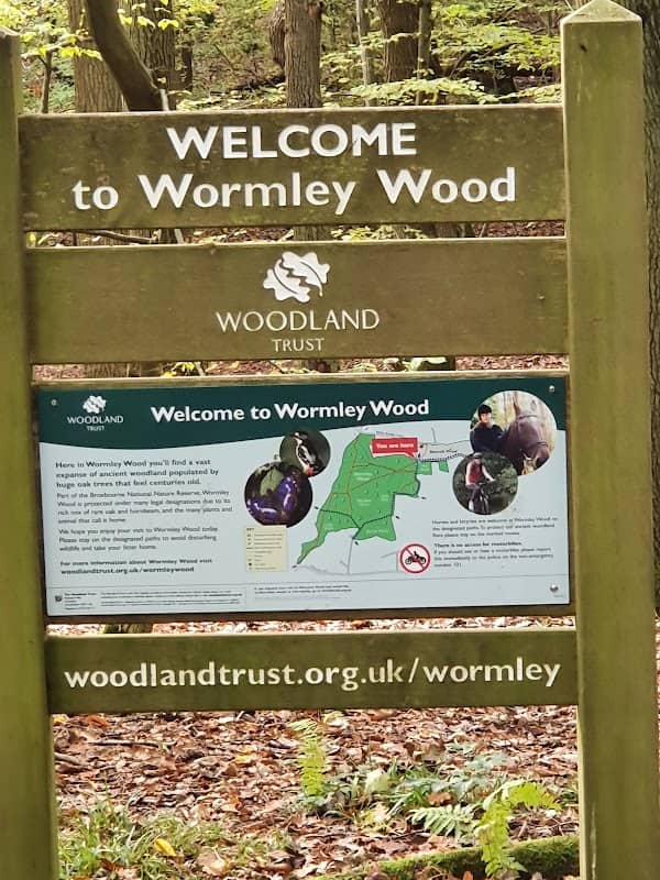 Bencroft Wood Nature Reserve - Image 2