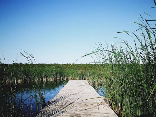 Lake Waco Wetlands - Image 1