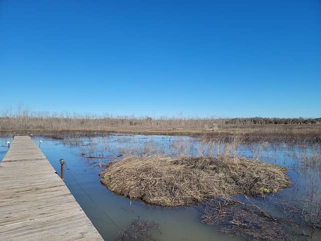 Lake Waco Wetlands - Image 3
