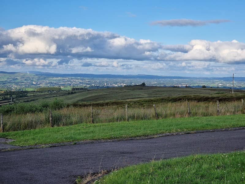 Pigeon Top - Image 1