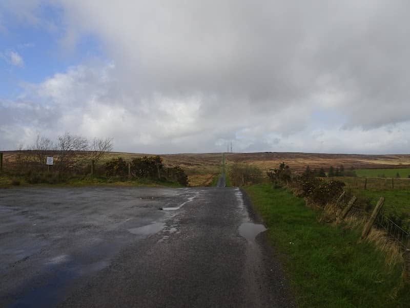 Pigeon Top - Image 2