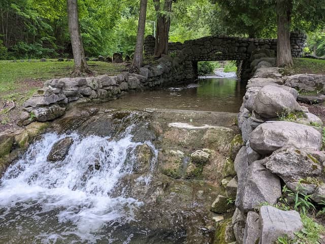 Elmwood Park - Image 2