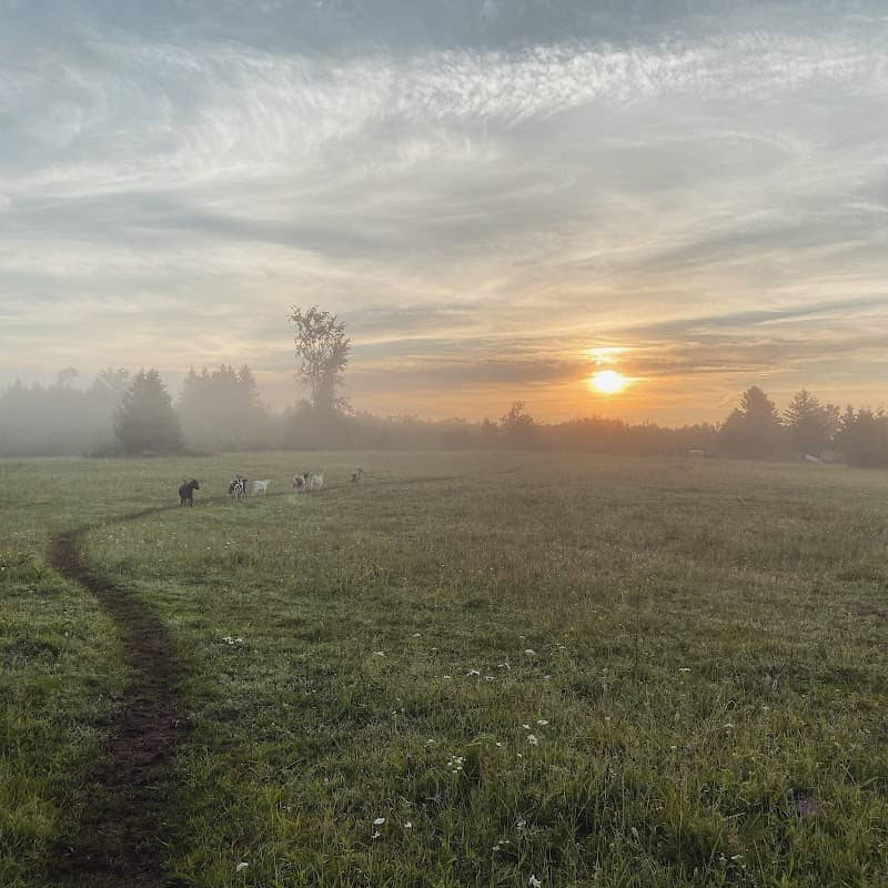 Talu Hobby Farm - Image 2