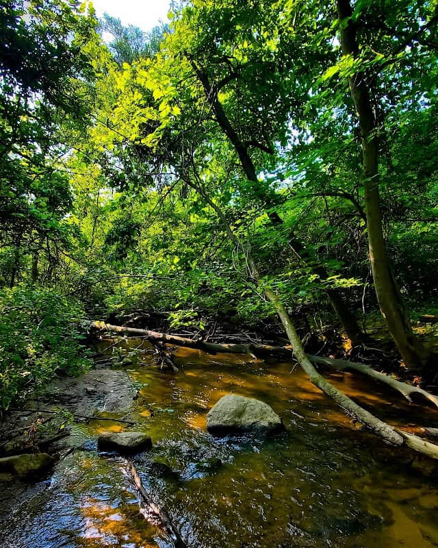 Middle Rouge River - Image 2