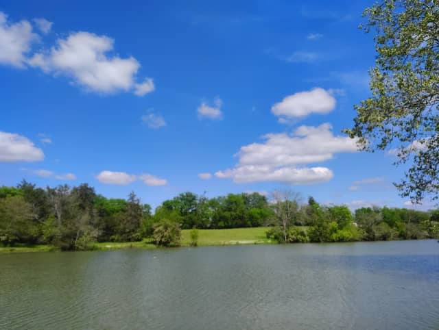 Rotary Kayak Park - Image 2