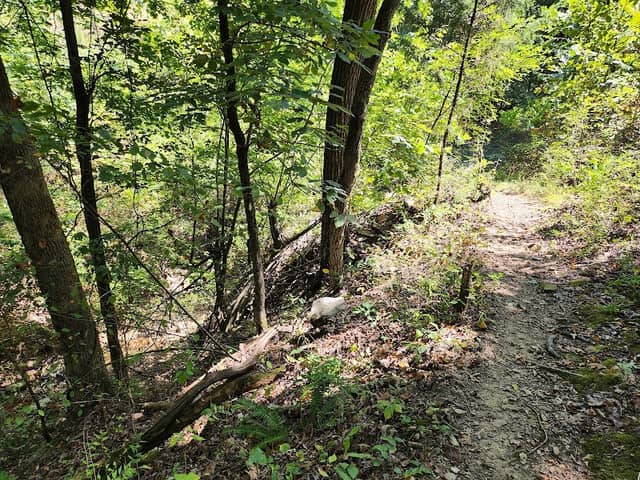 River Mountain Park - Image 2