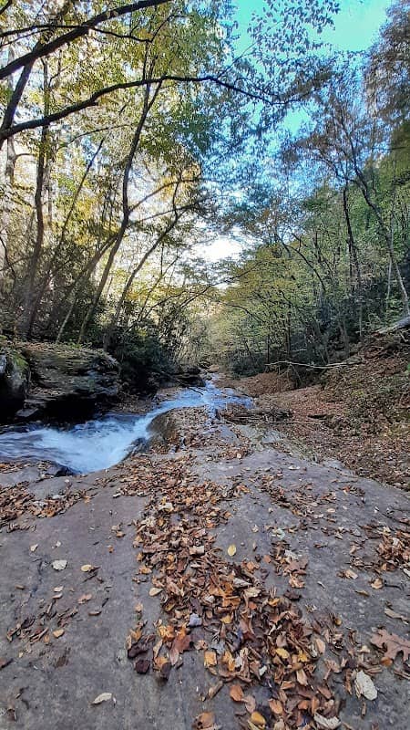 Waterfalls - Image 3